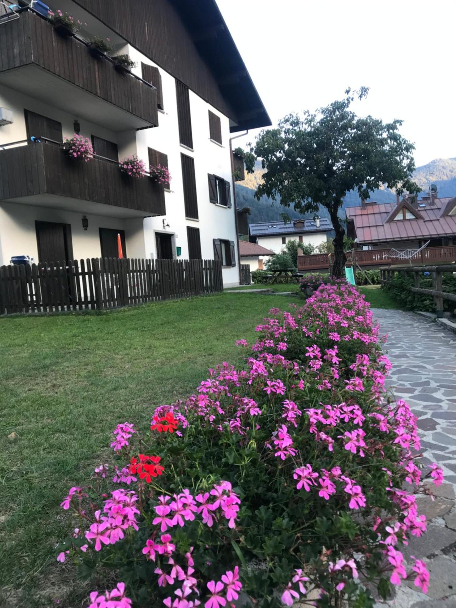 Care Alto Apartment Carisolo Ngoại thất bức ảnh